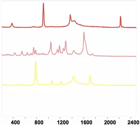 手持式拉曼光譜儀在公安法制檢查中的應用
