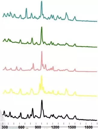 手持式拉曼光譜儀在公安法制檢查中的應用