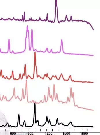 手持式拉曼光譜儀在公安法制檢查中的應用