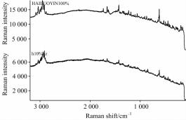 毒品危化物檢測(cè)的快速分析方法—拉曼光譜儀