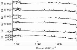 毒品危化物檢測(cè)的快速分析方法—拉曼光譜儀