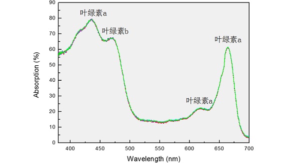 光纖光譜儀進行葉綠素光譜分析