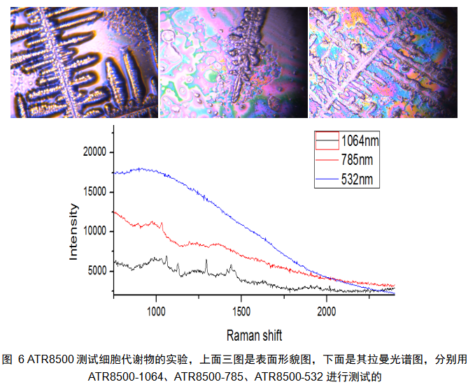 ATR8500_全自動對焦 顯微激光拉曼光譜成像儀
