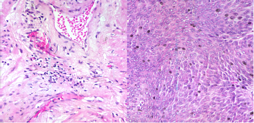ATH5500-17短波紅外顯微高光譜成像儀