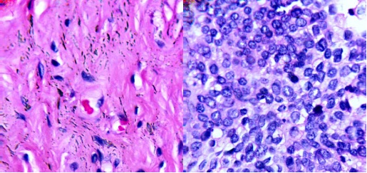 ATH5500-17短波紅外顯微高光譜成像儀