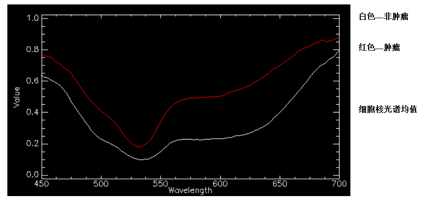 ATH5500-17短波紅外顯微高光譜成像儀