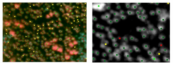 ATH9500_無人機載高光譜成像系統