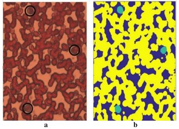 ATH5010_顯微高光譜成像分析系統