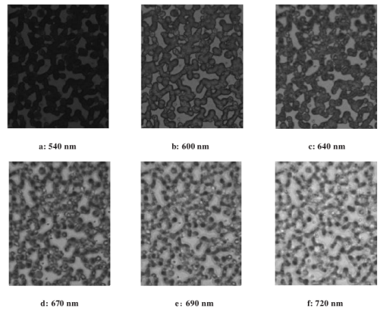 ATH5010_顯微高光譜成像分析系統