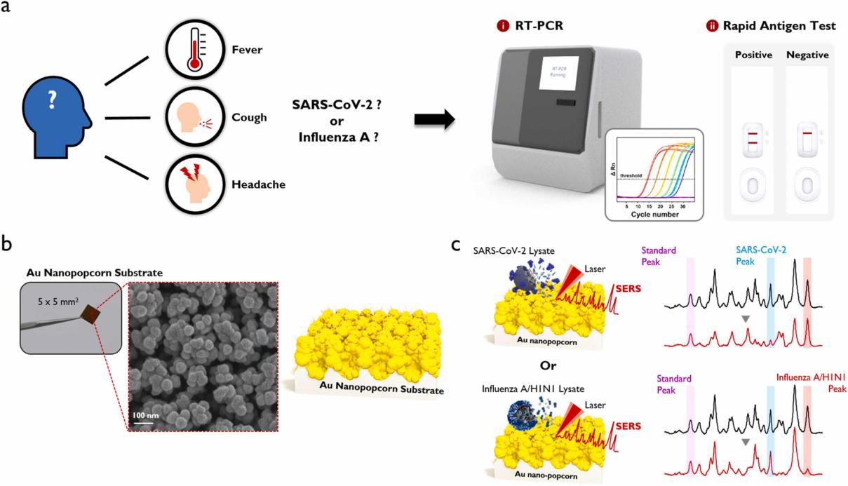 方案推薦|奧譜天成ATR8800冬季高發呼吸道疾病的快速檢驗