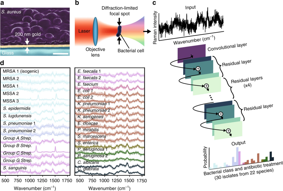 方案推薦|奧譜天成ATR8800冬季高發呼吸道疾病的快速檢驗